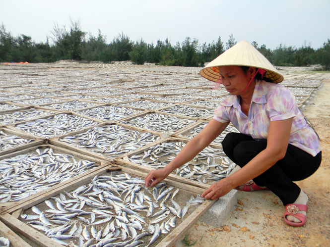 Chị Nguyễn Thị Lớn đang kiểm tra mức khô của cá để chuẩn bị đưa vào lò hấp.