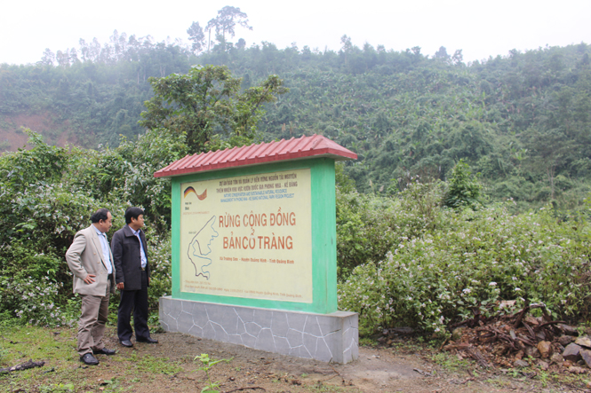 Công tác chăm sóc bảo vệ rừng được huyện Quảng Ninh chú trọng.