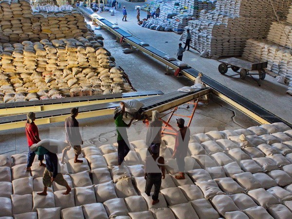 Bốc xếp gạo xuất khẩu tại Công ty CP Lương thực Hậu Giang. (Ảnh: Duy Khương/TTXVN)