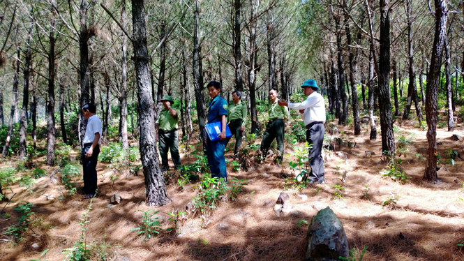 Lực lượng liên ngành huyện Quảng Ninh thường xuyên tăng cường công tác kiểm tra rừng nhằm có phương án tốt nhất trong BVR và PCCCR.