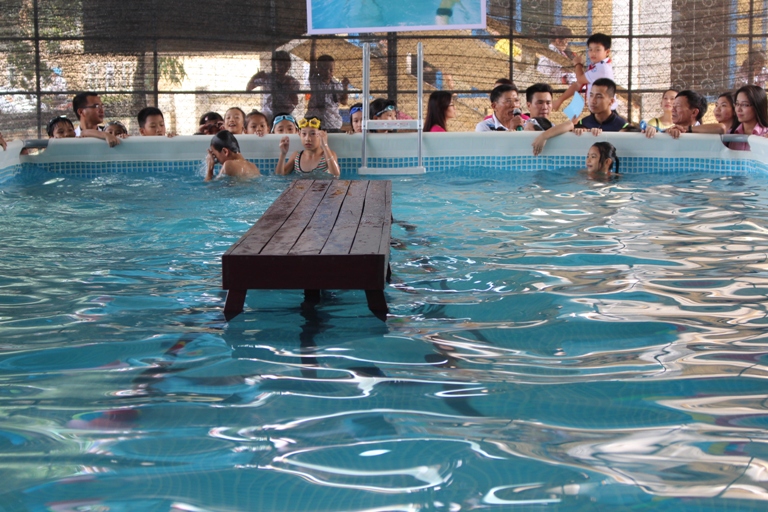 Các thí sinh thực hiện các phần thi tại bể bơi
