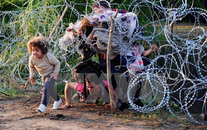 Người di cư vượt qua hàng rào dây thép gai gần Roszke, giáp giới Serbia. (Nguồn: AFP/TTXVN)