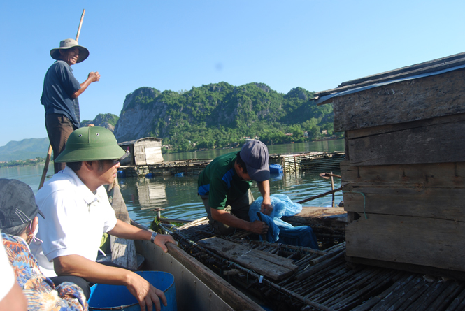 Sở Khoa học và Công nghệ kiểm tra mô hình nuôi cá lăng chấm ở Tuyên Hóa.