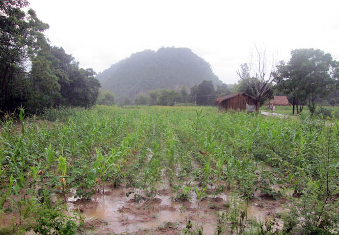  Tập quán canh tác lạc hậu, chủ yếu dựa vào thiên nhiên khiến sản xuất nông nghiệp của Thuận Hóa chậm phát triển.