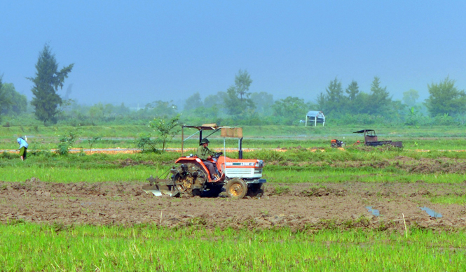 Nông dân xã Lương Ninh đang triển khai cày vỡ, chuẩn bị vào vụ đông-xuân 2015-2016.