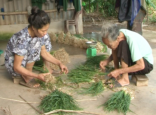  Người dân Hoa Thủy đang chuẩn bị nén cho buổi chợ sáng mai.