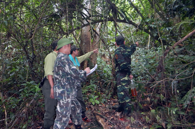 Việc tuần tra, kiểm soát rừng được lực lượng kiểm lâm VQG PN-KB thực hiện nghiêm túc, thường xuyên.