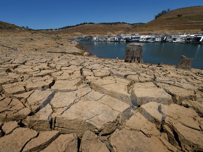 Hồ chứa nước New Melones ở California bị cạn khô do hạn hán kéo dài. (Nguồn: AFP/TTXVN)