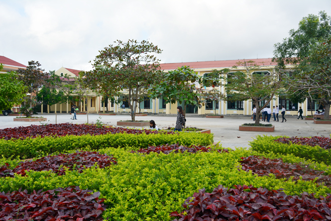 Trường THPT Ninh Châu ngày càng khang trang, xanh, sạch, đẹp.