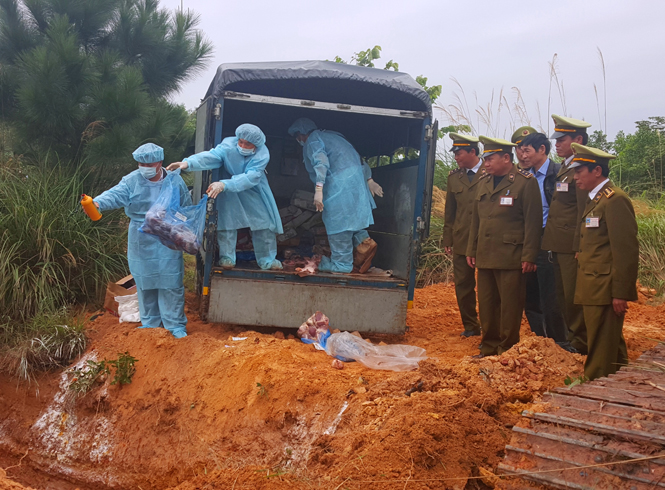 1,3 tấn tim lợn và 165 kg cánh gà bị tiêu huỷ tại bãi rác thành phố Đồng Hới                                                                   