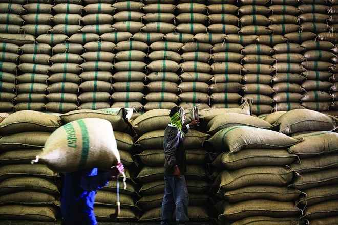 Ấn Độ đã vượt qua Thái Lan để trở thành nước xuất khẩu gạo lớn nhất thế giới. (Nguồn: todayonline.com)