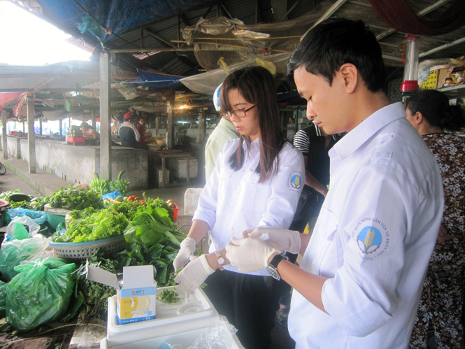 Kiểm tra dư lượng thuốc bảo vệ thực vật trên rau tại chợ Đồng Hới.