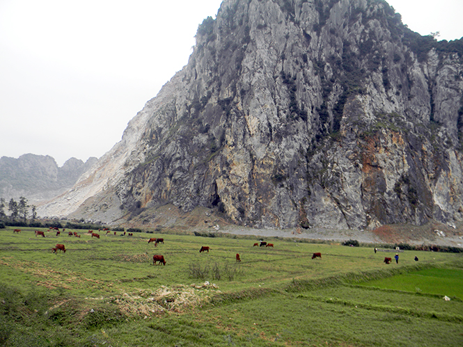 Nhiều diện tích đất nông nghiệp liền kề một mỏ đá tại xã Tiến Hoá phải bỏ hoang do bụi, đá rơi vãi.