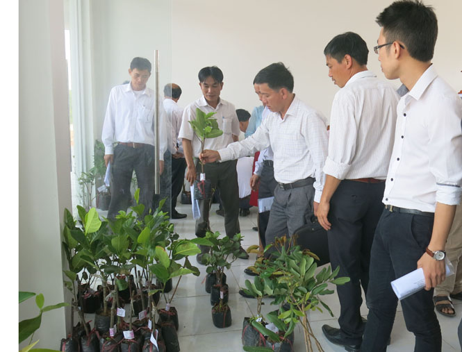 Đại biểu thăm quan các mặt hàng nông sản của nông dân được trưng bày tại Phòng giao dịc nông sản