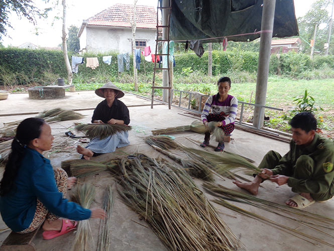 Nghề làm chổi đót mang lại thu nhập khá cho nhiều hộ dân ở thôn Hà Kiên.