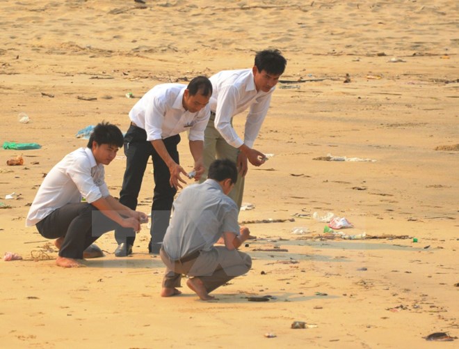 Hiện tượng cá chết bất thường ở vùng biển Quảng Bình. (Nguồn ảnh: TTXVN)