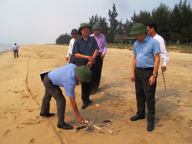 Đồng chí Trần Tiến Dũng, TUV, Phó Chủ tịch UBND tỉnh kiểm tra tình hình cá chết bất thường tại bờ biển xã Quảng Phú, huyện Quảng Trạch. 