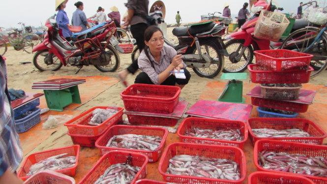 Tại cảng cá Cửa Nhượng (Cẩm Xuyên, Hà Tĩnh), thương lái chủ yếu mua mực tươi, không mua cá, tôm, cua, ghẹ. Nhưng giá mực giảm hơn 50% - Ảnh: N.H.Thanh