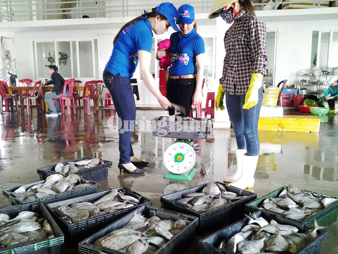 Nhân viên siêu thị Co.opmart Quảng Bình thu mua cá của ngư dân đánh bắt hải sản xa bờ tại Cảng cá Sông Gianh.