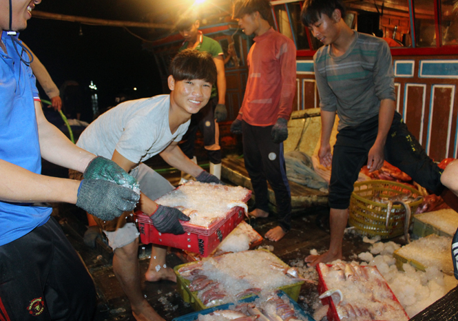 Vận chuyển hải sản đi tiêu thụ ở Cảng cá Sông Gianh