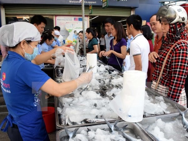 Các điểm bán cá sạch tại Siêu thị Co.opmart (Huế) hút khách đến mua mặt hàng hải sản. (Ảnh: Quốc Việt/TTXVN)