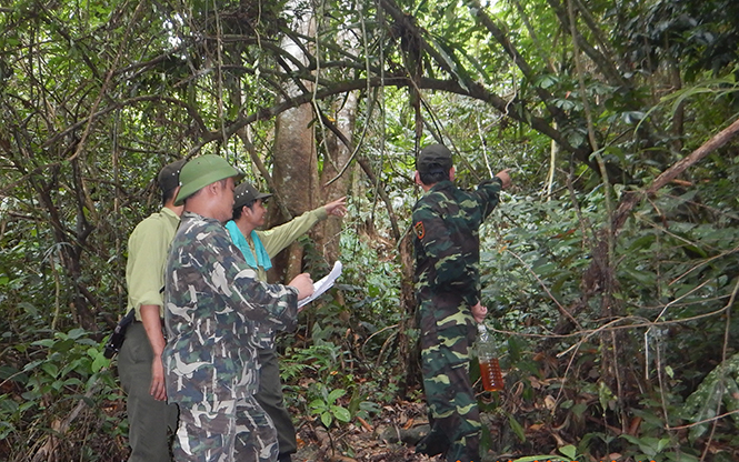 Công tác tuần tra, “canh lửa” luôn được thực hiện nghiêm túc ở các khu rừng Vườn quốc gia Phong Nha-Kẻ Bàng.