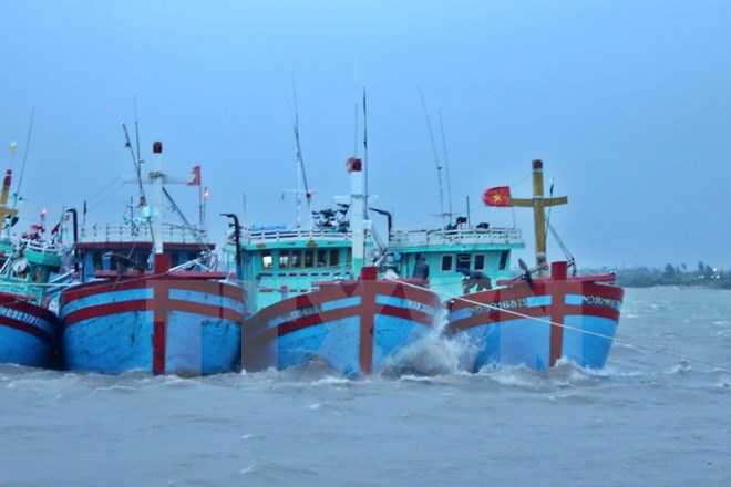 Tàu thuyền về nơi trú ẩn an toàn tại Cảng cá Ninh Cơ (huyện Hải Hậu, Nam Định). (Ảnh: Minh Quyết/TTXVN)