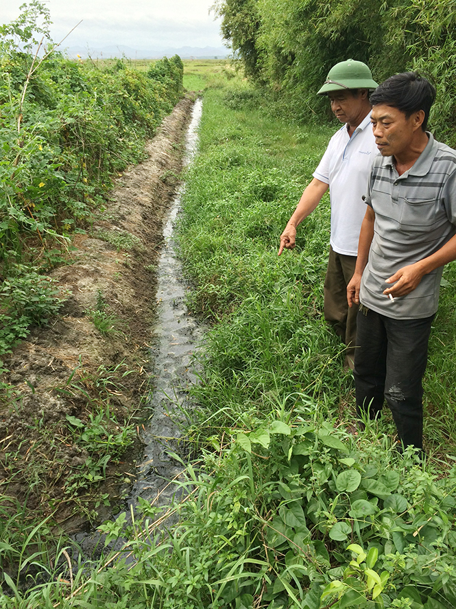 Mương nước thải từ chuồng lợn của ông Phạm Văn Lành gây ô nhiễm môi trường trong khu dân cư.