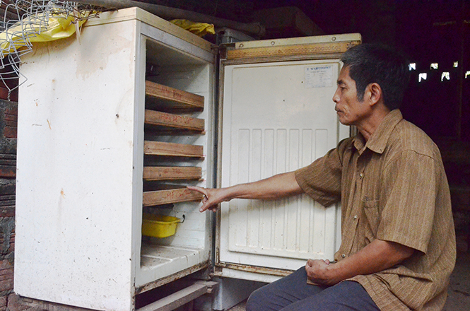  Ông Trần Ngọc Vy với chiếc lò ấp trứng tự chế từ tủ lạnh hỏng.