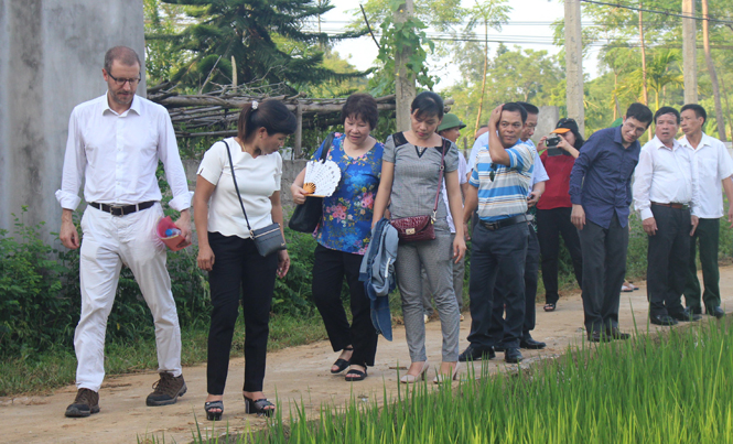 Các đại biểu tham quan công trình giao thông do cộng đồng dân cư thực hiện tại huyện Định Hóa