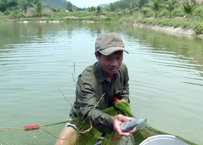 Mỗi năm ông Trần Đình Ngọ thu về hơn 100 triệu đồng từ nuôi cá.