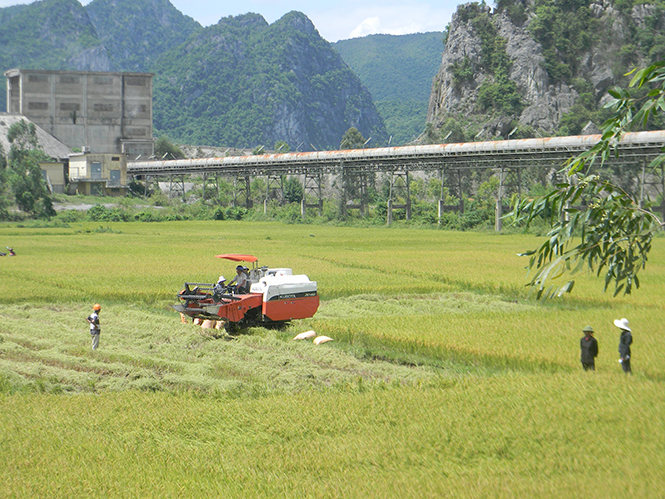 Nông dân xã Tiến Hoá, huyện Tuyên Hoá đưa cơ giới hoá vào đồng ruộng.