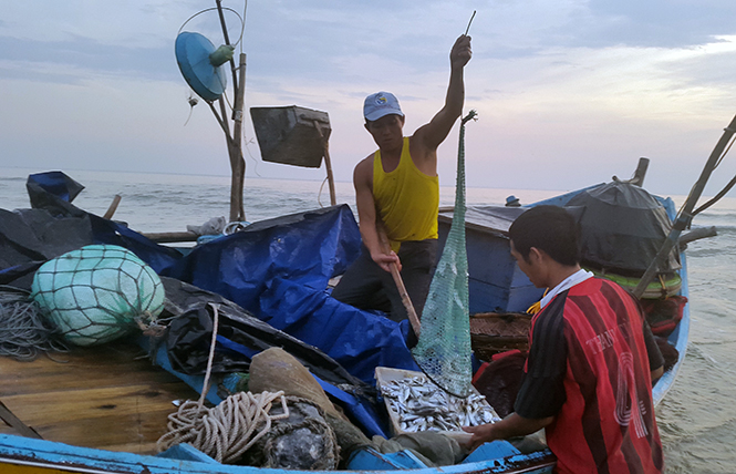 Ngư dân xã Hải Ninh tiếp tục ra khơi bám biển.