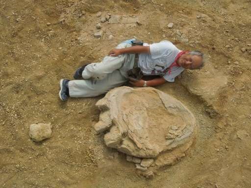 Dấu chân khủng long khổng lồ. (Nguồn: phys.org)