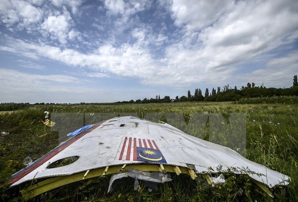 Mảnh vỡ máy bay MH17 tại khu vực gần làng Grabove, Donetsk, Ukraine. (Nguồn: AFP/TTXVN)