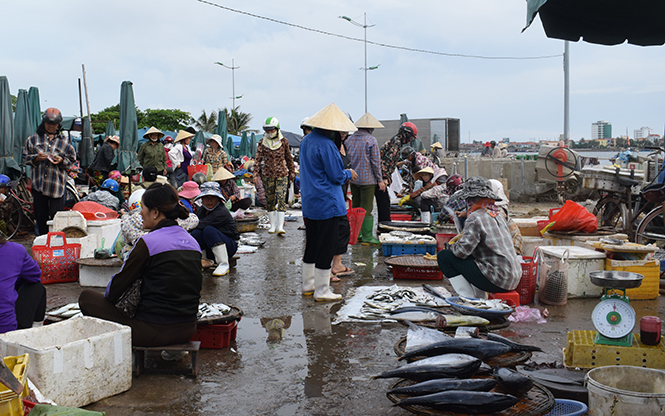 Khu vực bán cá biển tại chợ Đồng Hới đã có nhiều tiểu thương bày bán các loại cá, mực xa bờ.