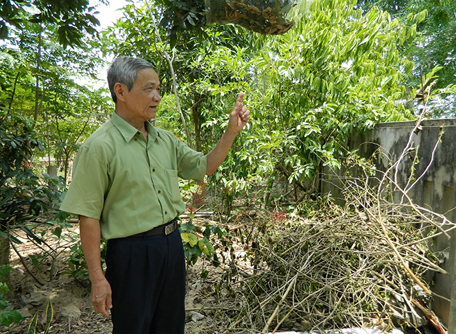 Ông Phan Thế Dầng đã tình nguyện hiến 140m2 đất và tài sản trên đất của gia đình để làm đường xây dựng nông thôn mới.