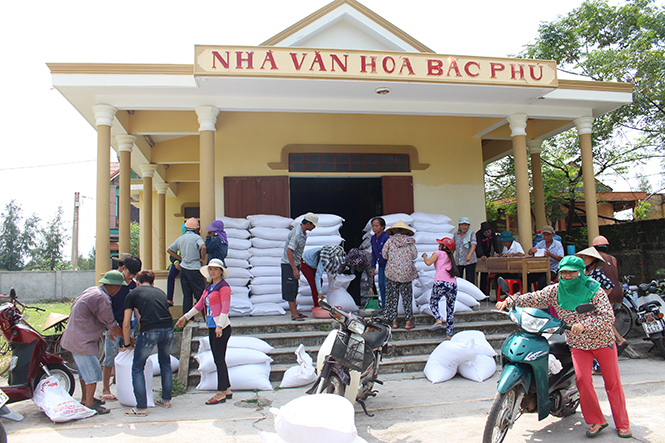 Cấp phát gạo hỗ trợ cho người dân xã Quang Phú sau sự cố ô nhiễm môi trường biển.