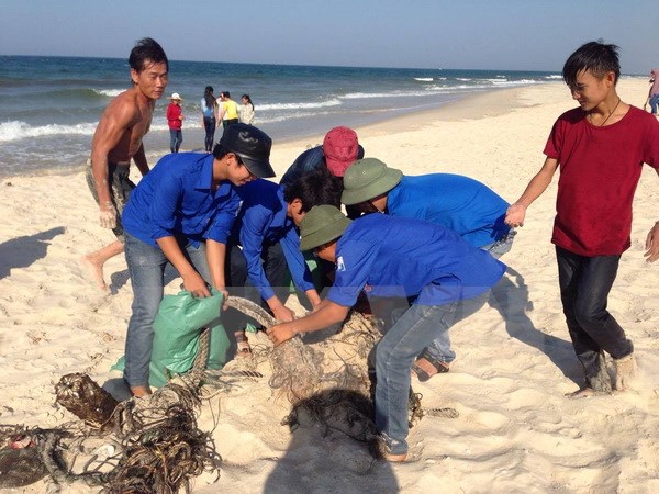 Các đoàn viên thanh niên tham gia làm sạch bờ biển sau ảnh hưởng của sự cố môi trường biển. (Ảnh minh họa: Võ Dung/TTXVN)