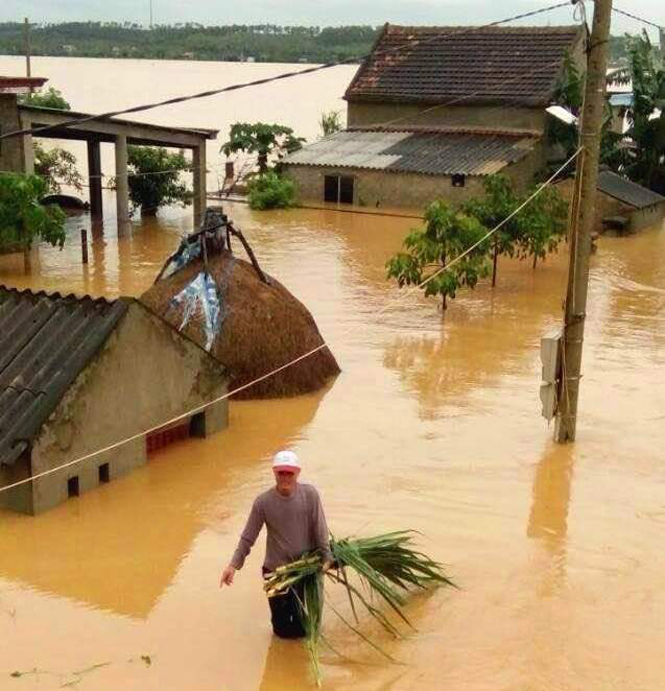    Nhiều nhà dân tại các xã vùng Nam thị xã Ba Đồn bị ngập sâu trong nước