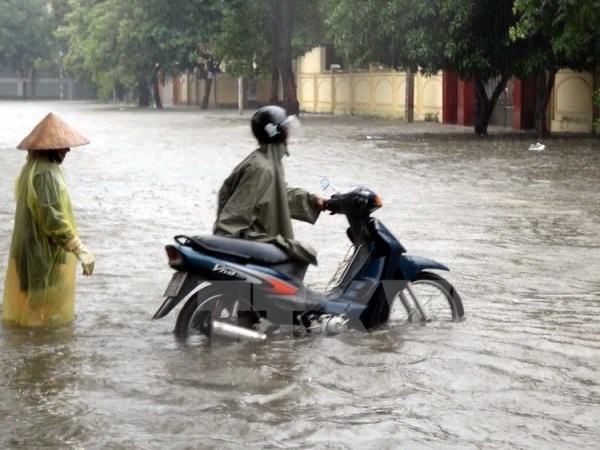 Mưa lũ nhấn chìm các tuyến đường tại thành phố Vinh, Nghệ An. (Ảnh: Tá Chuyên/TTXVN)