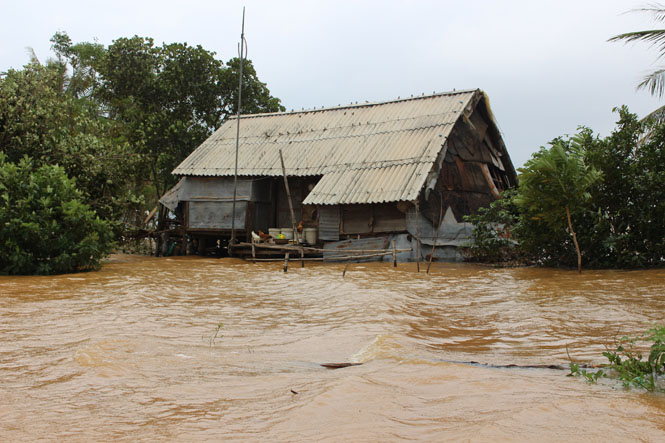 Một ngôi nhà của người dân xã Mai Thủy bị nước lũ bao vây.