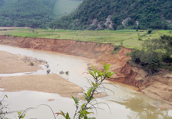 Nhiều diện tích đất sản xuất nông nghiệp của xã Thuận Hoá bị lũ lụt 