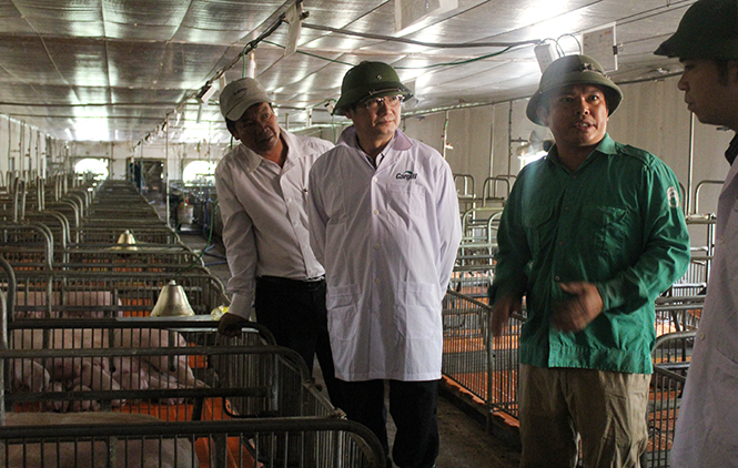 Lãnh đạo UBND tỉnh kiểm tra mô hình TT của DNTN Tân Bình, ở xã Nam Trạch (Bố Trạch) một trong ít những TT chăn nuôi lợn theo hình thức công nghiệp và công nghệ cao.