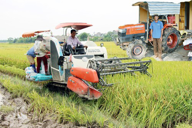 Máy gặt đập liên hợp của gia đình ông Trần Văn Diếc, một thành viên sản xuất giỏi của HTX Phương Xuân.