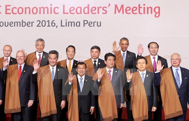 Chủ tịch nước Trần Đại Quang cùng các Lãnh đạo các nước chụp ảnh chung. (Ảnh: Nhan Sáng/TTXVN)