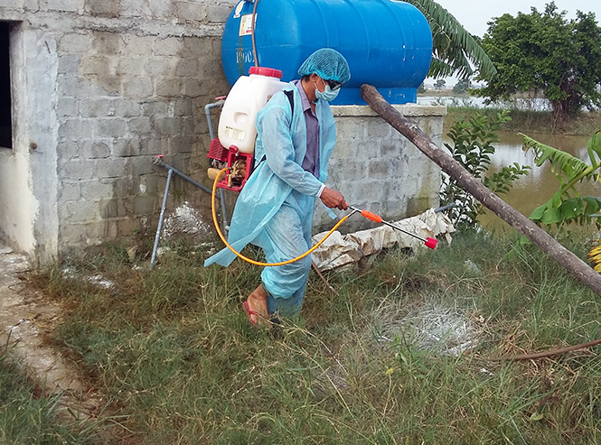 Công tác vệ sinh, tiêu độc khử trùng được thực hiện tốt tại các địa phương.