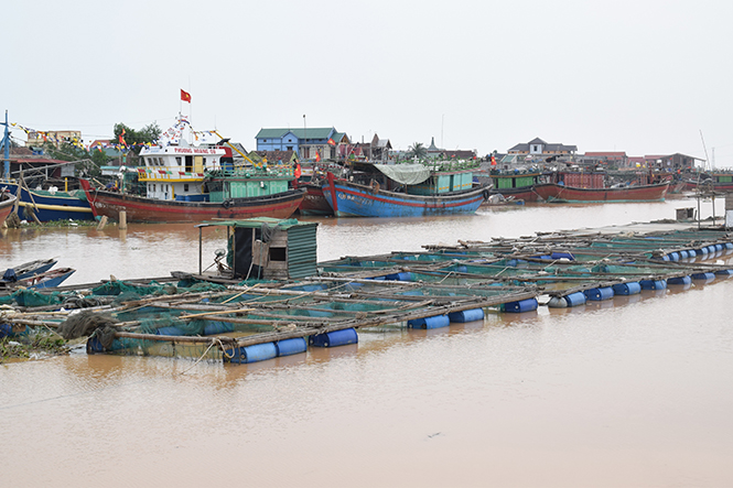 Nhiều diện tích nuôi trồng thủy sản của xã Quảng Lộc (Ba Đồn) bị thiệt hại nghiêm trọng do lũ lụt.