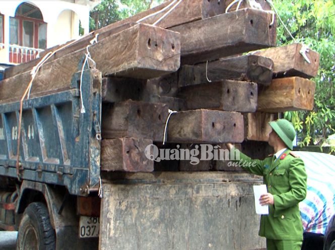 Cơ quan điều tra kiểm tra số gỗ vận chuyển trái phép.