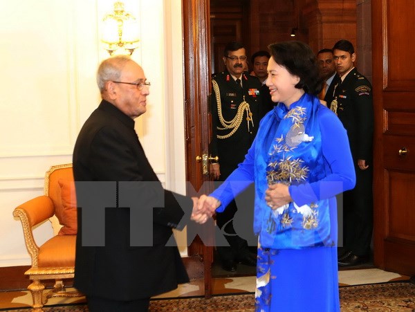 Chủ tịch Quốc hội Nguyễn Thị Kim Ngân hội kiến Tổng thống Ấn Độ Pranab Mukherjee. (Ảnh: Trọng Đức/TTXVN)